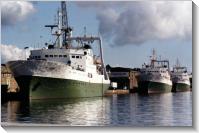 Saint-Malo (1990) Les trois navires identiques runis devant les entrepots de la Comapche